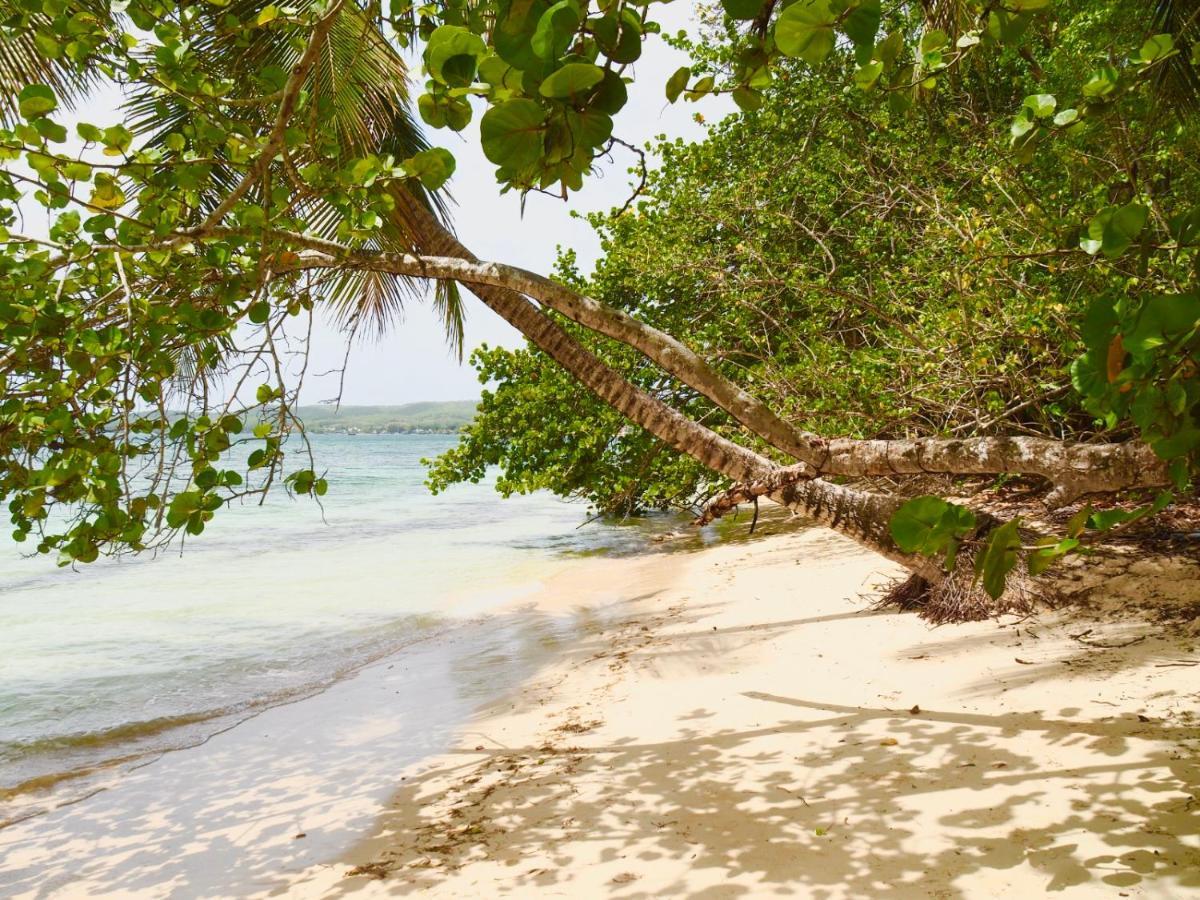 L Oralya - Blue Dream, Plage, Piscine, Restaurant Grand-Bourg (Marie Galante) Exterior foto