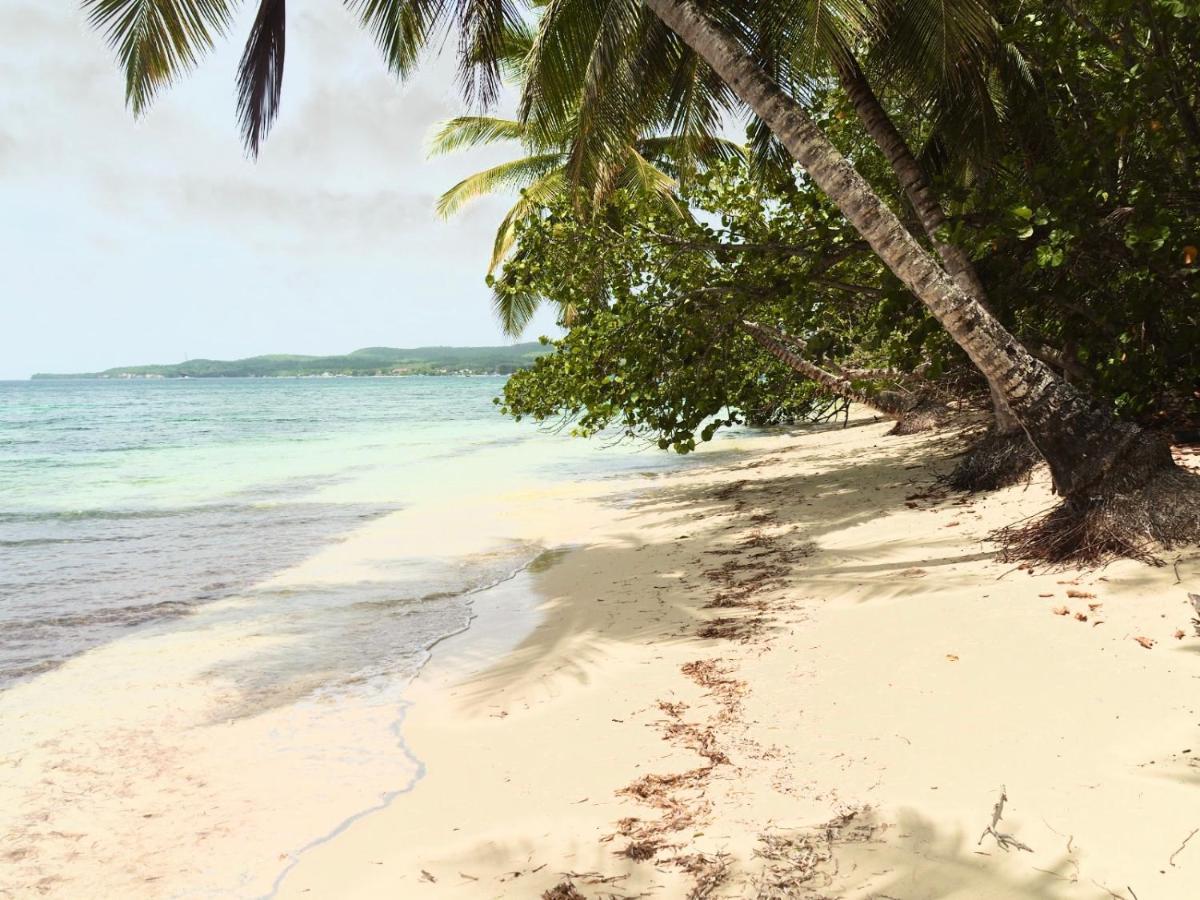 L Oralya - Blue Dream, Plage, Piscine, Restaurant Grand-Bourg (Marie Galante) Exterior foto