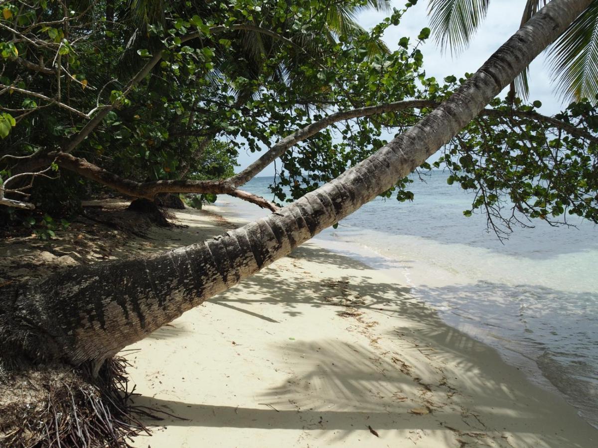 L Oralya - Blue Dream, Plage, Piscine, Restaurant Grand-Bourg (Marie Galante) Exterior foto