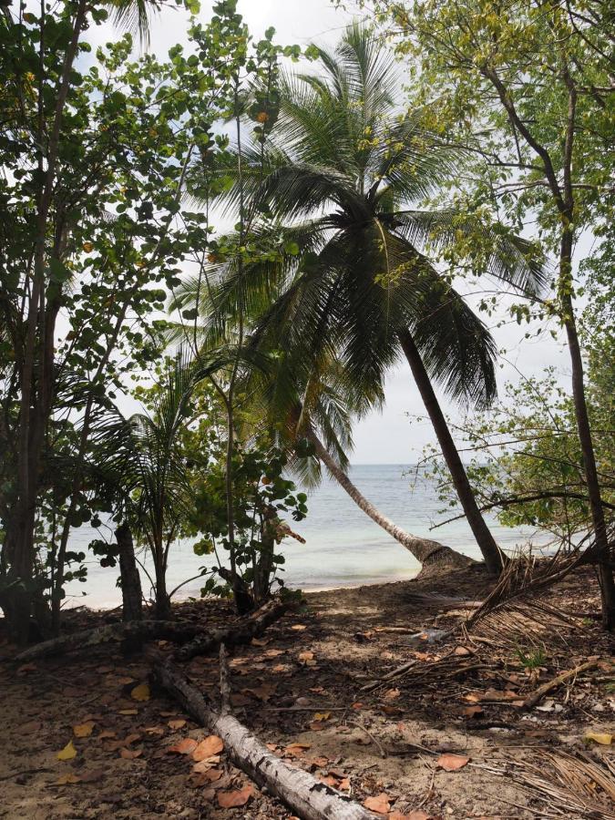 L Oralya - Blue Dream, Plage, Piscine, Restaurant Grand-Bourg (Marie Galante) Exterior foto