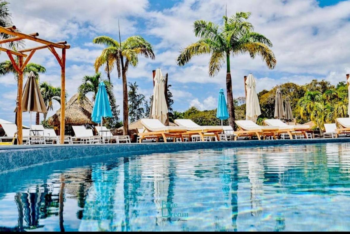 L Oralya - Blue Dream, Plage, Piscine, Restaurant Grand-Bourg (Marie Galante) Exterior foto