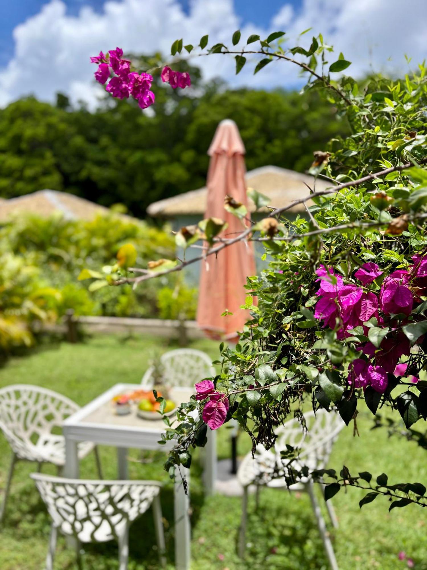 L Oralya - Blue Dream, Plage, Piscine, Restaurant Grand-Bourg (Marie Galante) Exterior foto